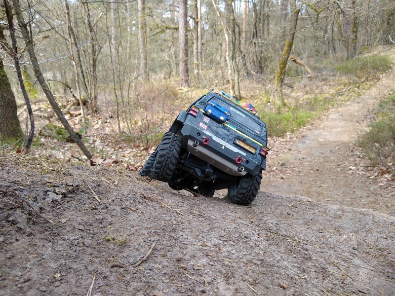 d4.jpg